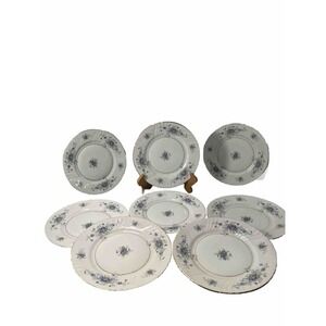 Johann Haviland China Barvarian Germany Salad Plate Violets Set Of 8